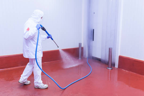Pre-Holiday Cleaning in Meadville, PA